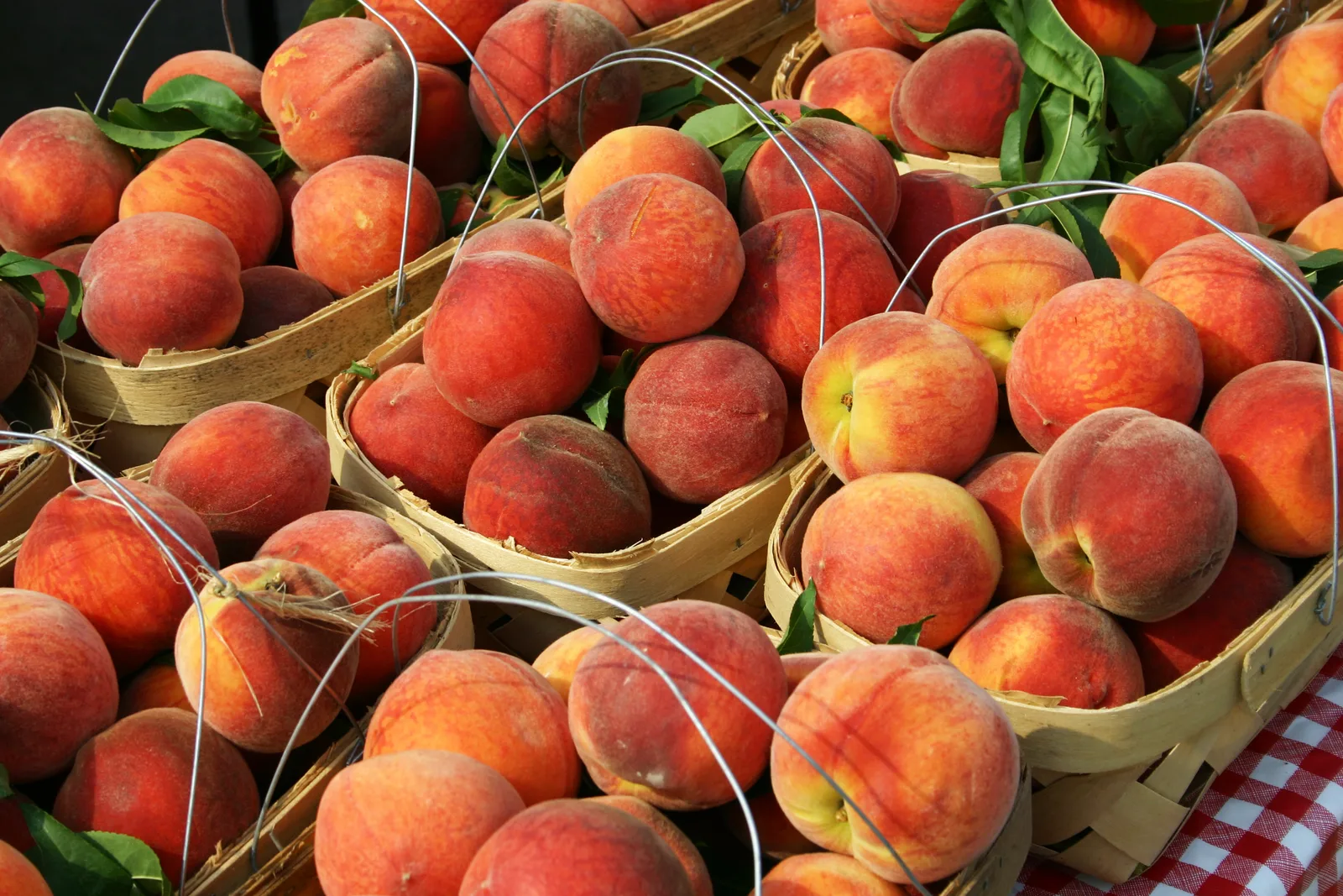 Ripe peaches in wooden baskets on a red-checked cloth